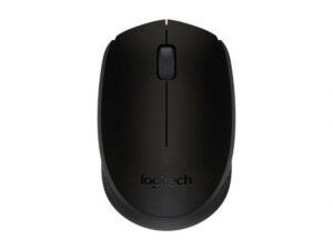 910-004424 Miš Logitech Cordless Optical M171, crni