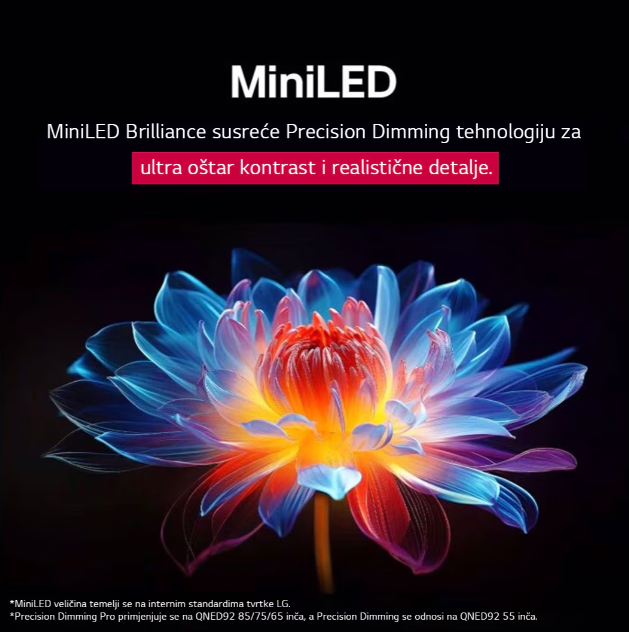 55QNED92A6A TV QNED 55" LG evo AI QNED92, 4K, Smart TV