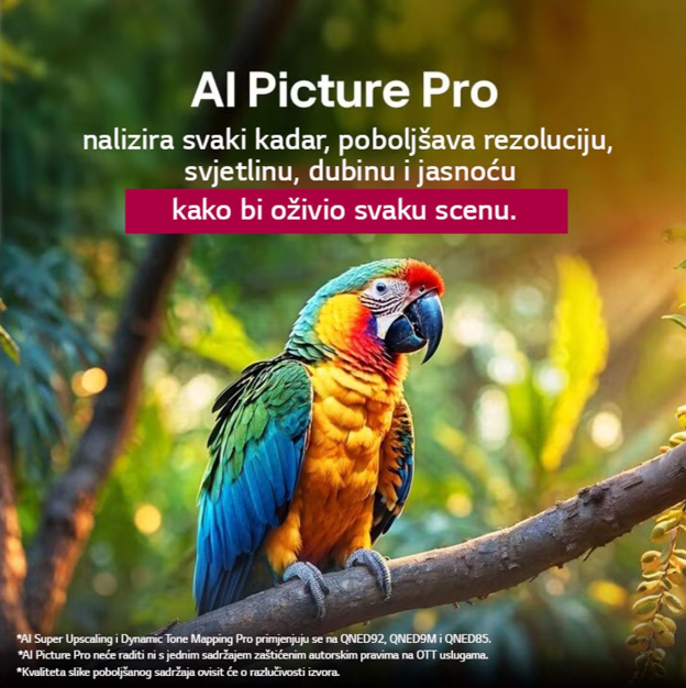 55QNED92A6A TV QNED 55" LG evo AI QNED92, 4K, Smart TV