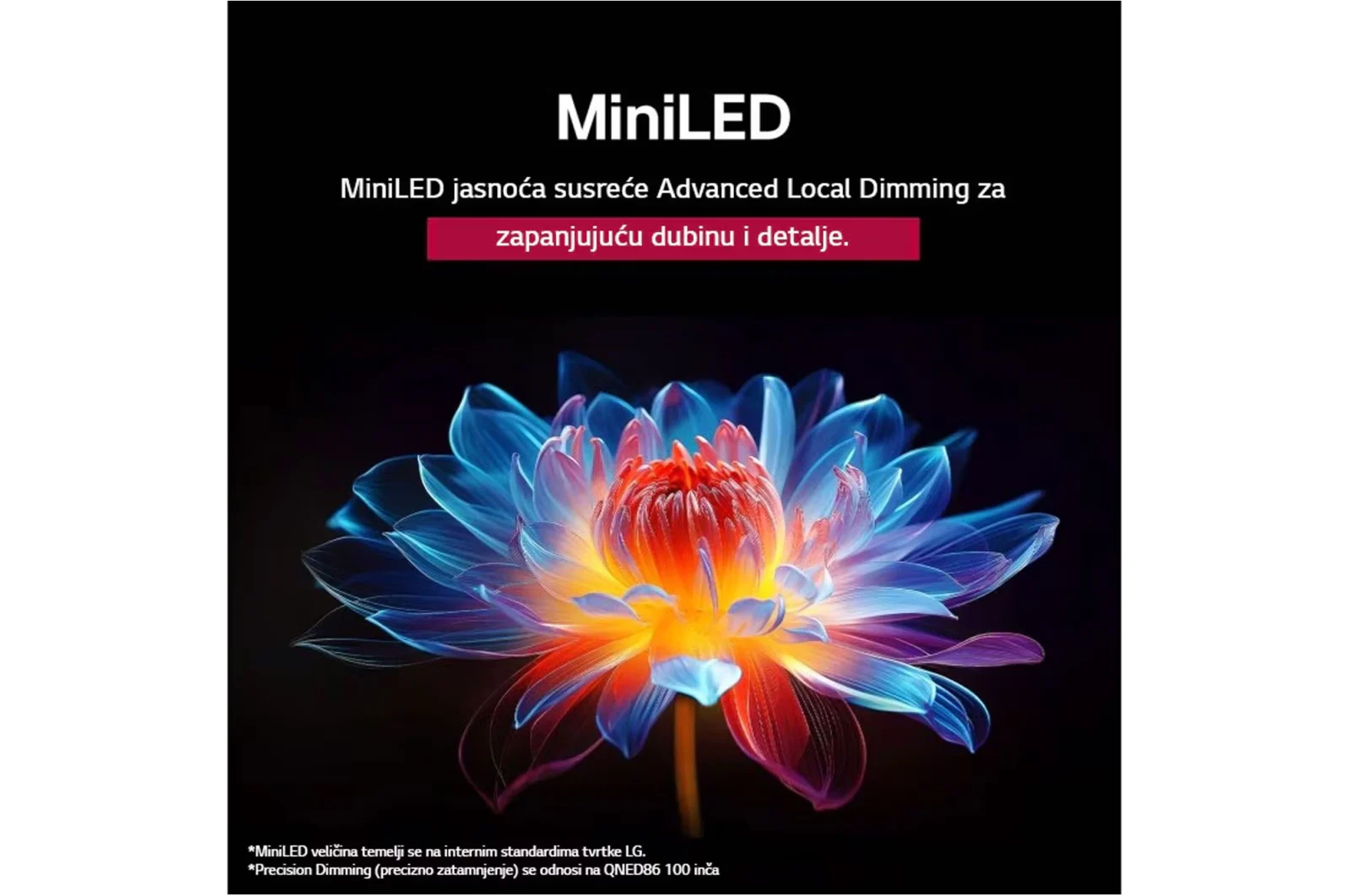 65QNED85A3C TV LED 65" LG 65QNED85A3C QNED, 165cm, UHD, 4K, Smart TV